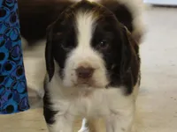 processed/16ba85ae-15a3-467d-a6d3-223cf5adf7bd/listing/22763d02-2dce-4da3-85d0-b3be90b43f23/a83aefef-9010-4dc7-8d05-9a967ea41134