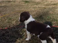 processed/16ba85ae-15a3-467d-a6d3-223cf5adf7bd/listing/22763d02-2dce-4da3-85d0-b3be90b43f23/db23d1fe-c013-4444-b916-9b781929c1e3