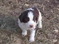 processed/16ba85ae-15a3-467d-a6d3-223cf5adf7bd/listing/417667f0-ce32-41ea-90c5-2688b2b26424/27682d75-7cf1-4b58-9866-45aaa4ec25d3