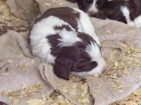 processed/16ba85ae-15a3-467d-a6d3-223cf5adf7bd/listing/417667f0-ce32-41ea-90c5-2688b2b26424/3f56567b-15c5-491f-a8dc-ca2270318d35