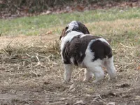 processed/16ba85ae-15a3-467d-a6d3-223cf5adf7bd/listing/417667f0-ce32-41ea-90c5-2688b2b26424/595c6608-7fe6-4183-a31b-c8aee47bb936