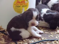 processed/16ba85ae-15a3-467d-a6d3-223cf5adf7bd/listing/8141ccef-1d9a-4e71-a60d-39e5ed91c344/0629b2bb-d82e-464a-b786-62c2f6f83680