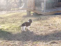 processed/16ba85ae-15a3-467d-a6d3-223cf5adf7bd/listing/8141ccef-1d9a-4e71-a60d-39e5ed91c344/4d6b9268-ef58-4075-8387-e121603e0f2f