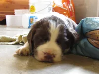 processed/16ba85ae-15a3-467d-a6d3-223cf5adf7bd/listing/85ca0fd6-78f7-4fd3-9c89-45a1f059a50a/988d16db-5153-4e07-a742-97431a7437ff