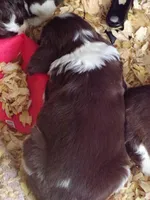 processed/16ba85ae-15a3-467d-a6d3-223cf5adf7bd/listing/85ca0fd6-78f7-4fd3-9c89-45a1f059a50a/e2f2a8ce-97bb-4c22-80d3-2387b760187c