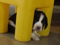 processed/16ba85ae-15a3-467d-a6d3-223cf5adf7bd/listing/9d866fa6-700f-4890-a98f-fbc175437cc2/0f20fba4-d2a7-44ee-a667-f8a9ebc87a88