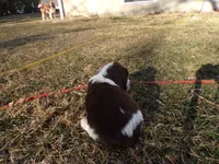 processed/16ba85ae-15a3-467d-a6d3-223cf5adf7bd/listing/9d866fa6-700f-4890-a98f-fbc175437cc2/4319e3e4-b724-4396-967f-aa11c96e99f9