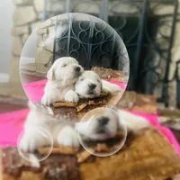 processed/16c2a833-8c1c-424c-ba83-51822221386d/facility/a9e9aafb-31d1-423f-a76c-972e91a675fc