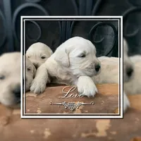 processed/16c2a833-8c1c-424c-ba83-51822221386d/facility/f8120aae-e6b8-474d-ab1f-545a0c54961c