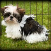 processed/16c5dcbb-a2df-43fa-a90a-8d5fee192b67/facility/1d1e4100-eb8a-4633-bcc2-38cacad3a845