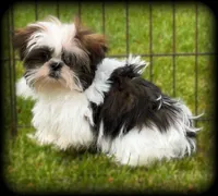 processed/16c5dcbb-a2df-43fa-a90a-8d5fee192b67/facility/1d1e4100-eb8a-4633-bcc2-38cacad3a845