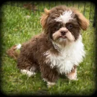 processed/16c5dcbb-a2df-43fa-a90a-8d5fee192b67/facility/22d593dd-9091-4ea4-9fc6-2f8202a97dce