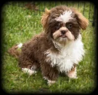 processed/16c5dcbb-a2df-43fa-a90a-8d5fee192b67/facility/22d593dd-9091-4ea4-9fc6-2f8202a97dce