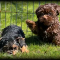 processed/16c5dcbb-a2df-43fa-a90a-8d5fee192b67/facility/47ec0b5c-9f7e-45e5-bd19-c82558fe3319