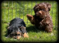 processed/16c5dcbb-a2df-43fa-a90a-8d5fee192b67/facility/47ec0b5c-9f7e-45e5-bd19-c82558fe3319