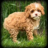 processed/16c5dcbb-a2df-43fa-a90a-8d5fee192b67/facility/5db6922f-9dd2-4eec-9c0b-9686863feb58