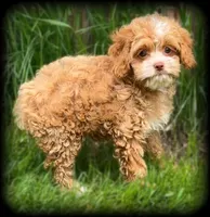 processed/16c5dcbb-a2df-43fa-a90a-8d5fee192b67/facility/5db6922f-9dd2-4eec-9c0b-9686863feb58