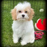 processed/16c5dcbb-a2df-43fa-a90a-8d5fee192b67/facility/c6192e74-120a-451f-90a0-a22d32da0f0c