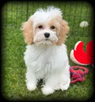 processed/16c5dcbb-a2df-43fa-a90a-8d5fee192b67/facility/c6192e74-120a-451f-90a0-a22d32da0f0c