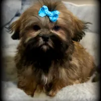 processed/16c5dcbb-a2df-43fa-a90a-8d5fee192b67/facility/fd34f2c5-67c4-4b38-aba2-f7d8e2029c69