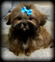 processed/16c5dcbb-a2df-43fa-a90a-8d5fee192b67/facility/fd34f2c5-67c4-4b38-aba2-f7d8e2029c69