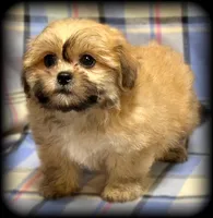 processed/16c5dcbb-a2df-43fa-a90a-8d5fee192b67/listing/878a5619-e14c-425d-ba6c-e130b526f6fc/2bb2e73e-7bff-42e2-a4dc-c0d08a83eb29