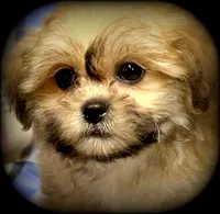 processed/16c5dcbb-a2df-43fa-a90a-8d5fee192b67/listing/878a5619-e14c-425d-ba6c-e130b526f6fc/adefd2c0-3b8c-468e-9d30-471965cfb31a