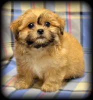 processed/16c5dcbb-a2df-43fa-a90a-8d5fee192b67/listing/878a5619-e14c-425d-ba6c-e130b526f6fc/df5f5f7c-b36e-48de-a5f6-c605956518f9