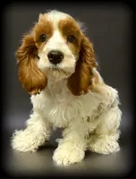 processed/16c5dcbb-a2df-43fa-a90a-8d5fee192b67/listing/afef450f-441a-4f13-95dd-1e10011e6858/4711bc1a-9a80-4610-9e49-496a4c42741e