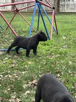 processed/16c7a08f-67a2-4f40-ac1c-89df2478d02e/listing/898f0c7c-af68-411e-8d45-d5f098784a0c/3c3f75c4-d049-4622-8f2b-bfc9e2f1fca5