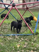 processed/16c7a08f-67a2-4f40-ac1c-89df2478d02e/listing/898f0c7c-af68-411e-8d45-d5f098784a0c/80fb4100-78d5-47d3-88ec-afe583449efd