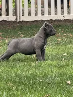 processed/16c7a08f-67a2-4f40-ac1c-89df2478d02e/listing/ab1793d2-9f91-4203-8575-79f6e456dfaa/4d6b66ea-5244-4f8c-b6d7-8252cd30086f