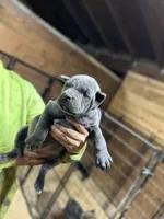 processed/16c7a08f-67a2-4f40-ac1c-89df2478d02e/listing/ab1793d2-9f91-4203-8575-79f6e456dfaa/518ac29f-f026-4127-a468-0ad4947b064d