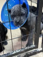 processed/16c7a08f-67a2-4f40-ac1c-89df2478d02e/listing/ab1793d2-9f91-4203-8575-79f6e456dfaa/631a8d20-e330-4c20-b915-3fa51581759f