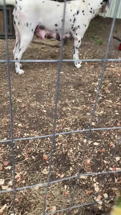 Facility video