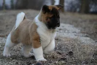 processed/16d4f675-21c5-4306-97ac-83ef68f236fa/facility/47462254-1d02-4120-84de-cabd8e25ecf7