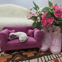 Full AKC Hermione Female , a female Chihuahua for sale in Cullowhee, NC – 2 of 7