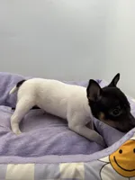 processed/16dbfd18-c7ab-4292-a994-64ff92b9ab60/listing/0defe441-bf51-4d23-8ac5-c118ee5ed721/c5e5dcfd-02a8-4d3a-b657-635dc56478bd