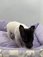 processed/16dbfd18-c7ab-4292-a994-64ff92b9ab60/listing/0defe441-bf51-4d23-8ac5-c118ee5ed721/cb0b5ac7-edd8-48ce-8dc0-93a3b51bdd9e