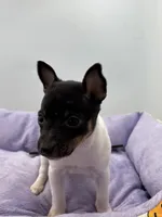 processed/16dbfd18-c7ab-4292-a994-64ff92b9ab60/listing/0defe441-bf51-4d23-8ac5-c118ee5ed721/e443b1af-f49e-4302-a908-3b5c7990fafe