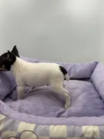 processed/16dbfd18-c7ab-4292-a994-64ff92b9ab60/listing/0defe441-bf51-4d23-8ac5-c118ee5ed721/f82c80df-ae8c-4447-be25-ca2e42fc6cf4