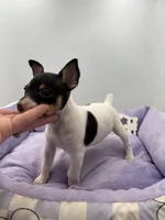 processed/16dbfd18-c7ab-4292-a994-64ff92b9ab60/listing/21448d36-bb80-40ba-800e-a53fa9ff5baa/0906a6fa-125d-4574-9416-83fc52c6484a