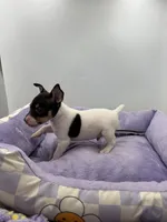 processed/16dbfd18-c7ab-4292-a994-64ff92b9ab60/listing/21448d36-bb80-40ba-800e-a53fa9ff5baa/3e89bc68-b1f5-46a6-abdc-cb14eaae72b5