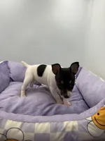 processed/16dbfd18-c7ab-4292-a994-64ff92b9ab60/listing/21448d36-bb80-40ba-800e-a53fa9ff5baa/5c1d73a9-c198-4112-bac8-c885d3d6dd22