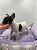 processed/16dbfd18-c7ab-4292-a994-64ff92b9ab60/listing/21448d36-bb80-40ba-800e-a53fa9ff5baa/669bbe9c-47d0-4389-9174-eacdf2c5ec10