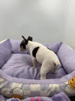 processed/16dbfd18-c7ab-4292-a994-64ff92b9ab60/listing/21448d36-bb80-40ba-800e-a53fa9ff5baa/9a49e8c5-fe41-461f-b1a6-665649ee6ec2