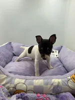 processed/16dbfd18-c7ab-4292-a994-64ff92b9ab60/listing/21448d36-bb80-40ba-800e-a53fa9ff5baa/d0da63a4-9d71-45d0-ac98-42ee7d4e17c1