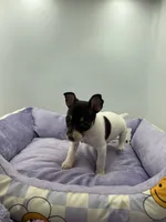 processed/16dbfd18-c7ab-4292-a994-64ff92b9ab60/listing/21448d36-bb80-40ba-800e-a53fa9ff5baa/ddb66730-b0ed-4bbf-aee9-55925440d1eb