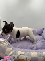 processed/16dbfd18-c7ab-4292-a994-64ff92b9ab60/listing/21448d36-bb80-40ba-800e-a53fa9ff5baa/de30591b-c402-49c3-a2f8-08fead3ead08