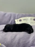 processed/16dbfd18-c7ab-4292-a994-64ff92b9ab60/listing/3c6b877c-6495-4a0a-b6ac-32944a4e8945/0e7bd2c7-390f-4793-8653-3c396cb2fd79